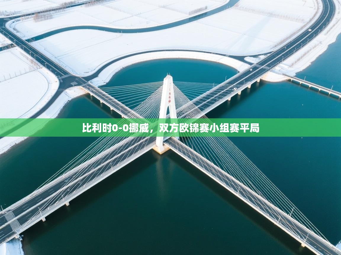 比利时0-0挪威，双方欧锦赛小组赛平局
