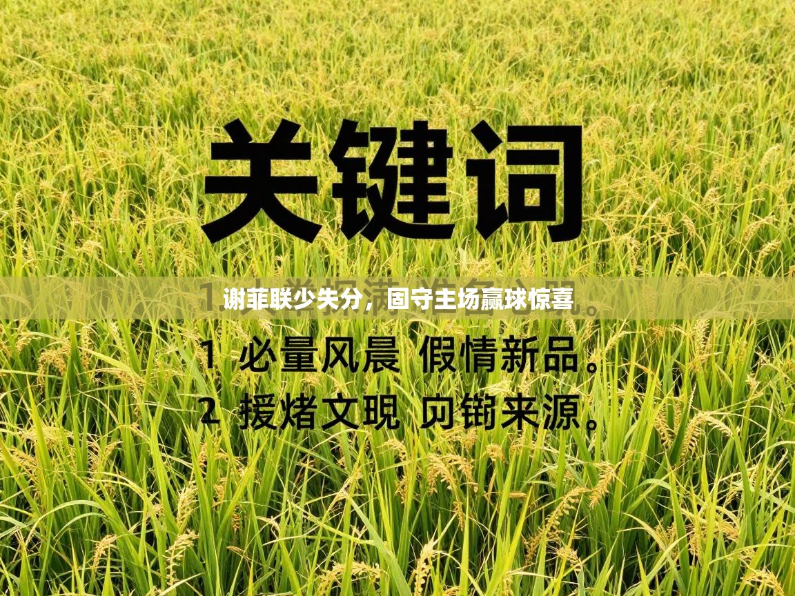 谢菲联少失分,固守主场赢球惊喜