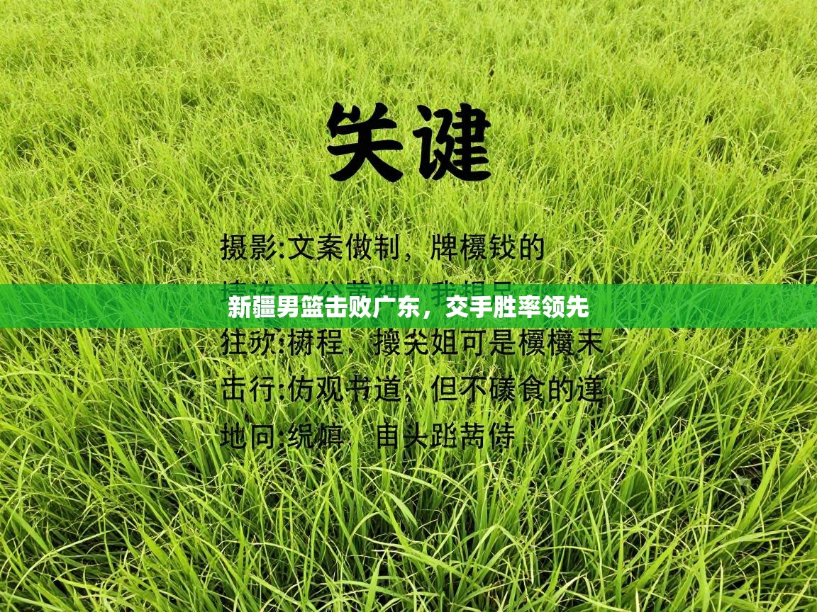 新疆男篮击败广东,交手胜率领先 第2张